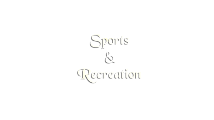 Sports & Recreational Programs